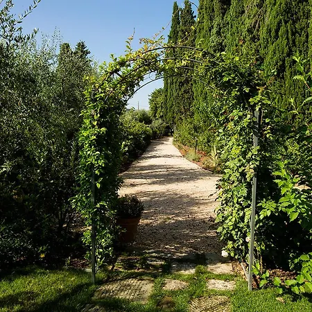 Roveta * Scandicci